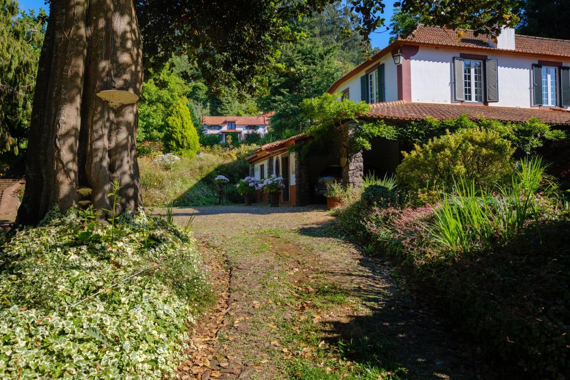 Valle Paraizo Camacha  Exteriér fotografie